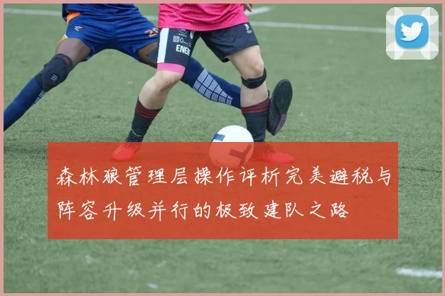 森林狼管理层操作评析完美避税与阵容升级并行的极致建队之路