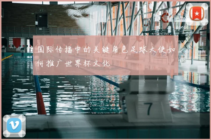 国际传播中的关键角色足球大使如何推广世界杯文化