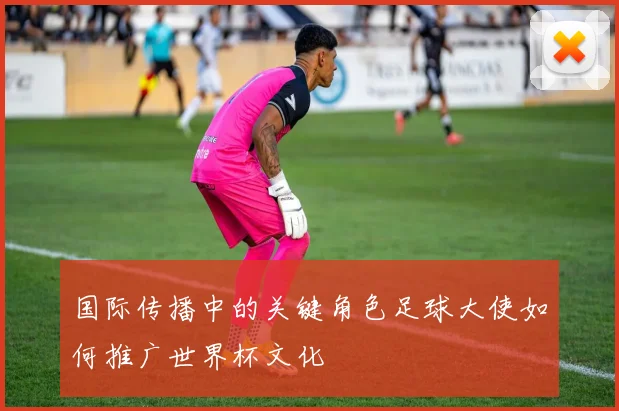 国际传播中的关键角色足球大使如何推广世界杯文化